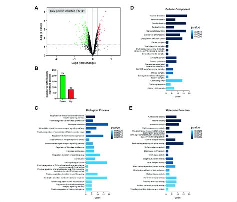 Identification Of Differentially Expressed Proteins And Gene Ontology