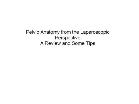 Pelvic Anatomy From The Laparoscopic Perspective A Review