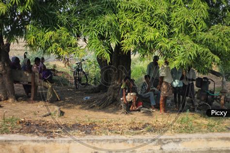 Image Of Local People Sitting Under A Tree And Talking With Each Other