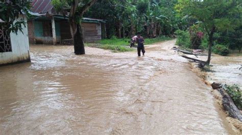 Kecamatan Pitumpanua Kembali Dilanda Banjir Puluhan Rumah Dan Area