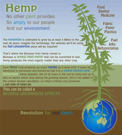 The Environmental Importance Of HEMP For Climate Change Hempington Post