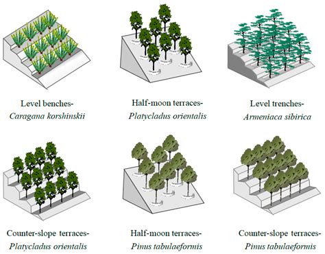 Terracing Diagram