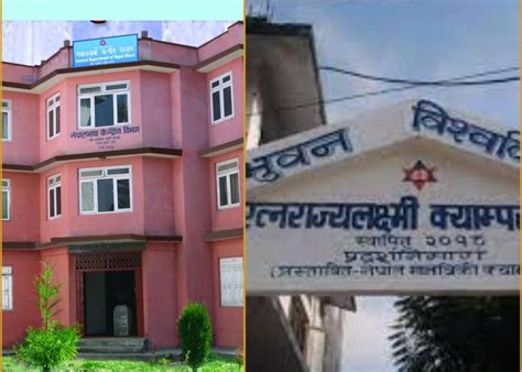 नेपाल भाषा लगायत अन्य विषयकाे एम एम ए तहमा भर्ना खुल्याे Upakar