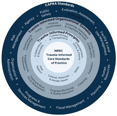 Behavioral Sciences Free Full Text Innovations In Trauma Informed