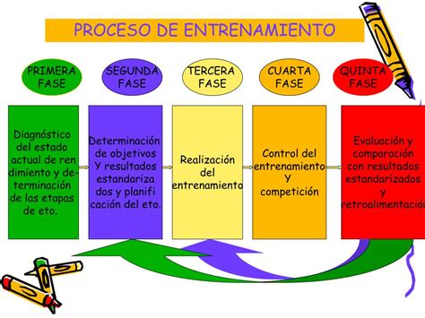 Ppt Conceptos B Sicos Del Entrenamiento Deportivo Powerpoint