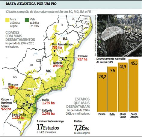 Desmatamento Da Mata Atl Ntica Caiu At Bbc