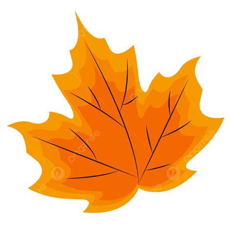 Hoja Con Color Naranja Png Dibujos Hoja Color Naranjas Png Y Vector