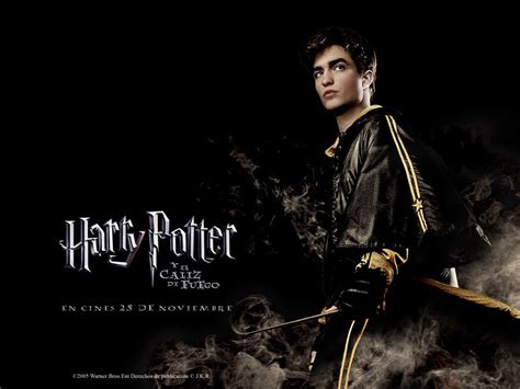 Cedric Harry Potter Wallpapers On Wallpaperdog