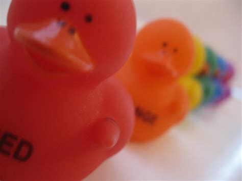 Rainbow Ducks by jesspotter on DeviantArt