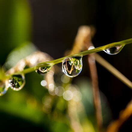 Canon EF-M 28mm F3.5 Macro IS STM sample photos - ExploreCams