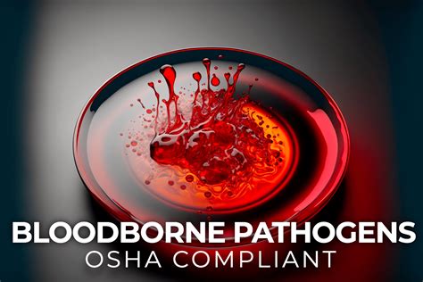 Osha Compliant Bloodborne Pathogens Training Hr Premiere Education