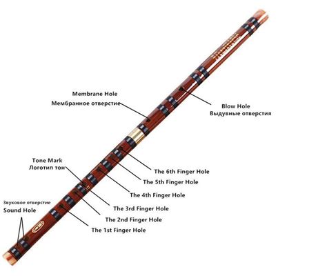 Chinese Bamboo Flute Professional Woodwind Flutes Musical Instruments C