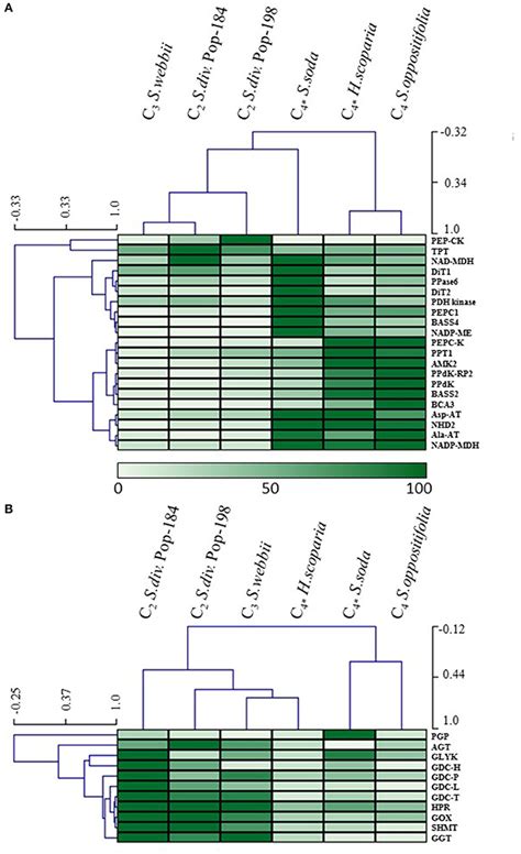 Frontiers De Novo Transcriptome Assembly And Comparison Of C3 C3 C4