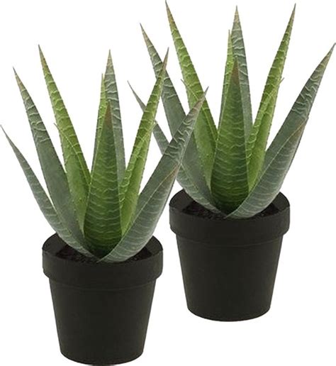 Kunstplant Aloe Vera 2x Groen In Zwarte Pot 23 Cm Bol