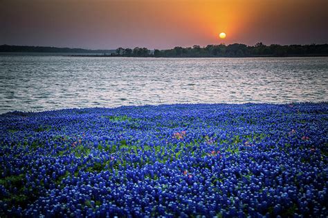 Lakeside Attractions Photograph by Tom Weisbrook - Fine Art America