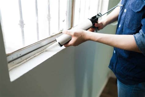 How To Get Rid Of Crickets Arizona Termites And Pest Solutions