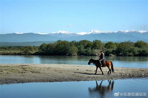 新疆昭苏县享有中国天马之乡的美誉 天马 新疆 昭苏县 新浪新闻