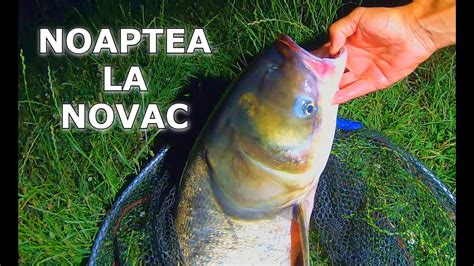 Noapte De Pescuit La Novac Amur Si Crap La Complexul Piscicol T Mpa Pe