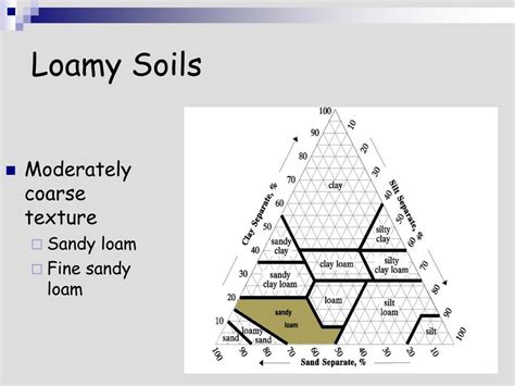 PPT - Lecture 2a – Soil Texture Soil Texture = %Sand, Silt & Clay in a soil. PowerPoint ...