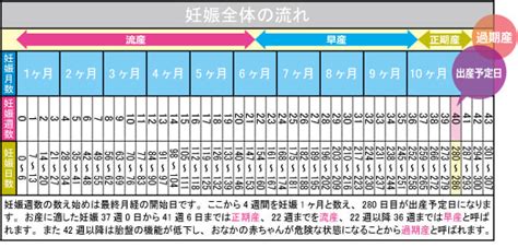 【出産予定日計算】出産予定日の計算方法