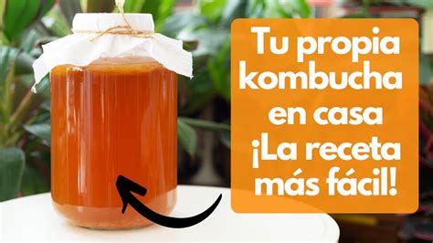 C Mo Hacer Kombucha La Receta M S F Cil Descubre C Mo Hacer Tu