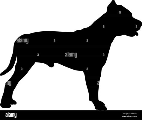 Pit Bull Terrier Silhouette Black Stock Vector Image Art Alamy