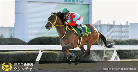 名古屋大賞典 Jpniii 2022｜特集おトク情報楽天競馬