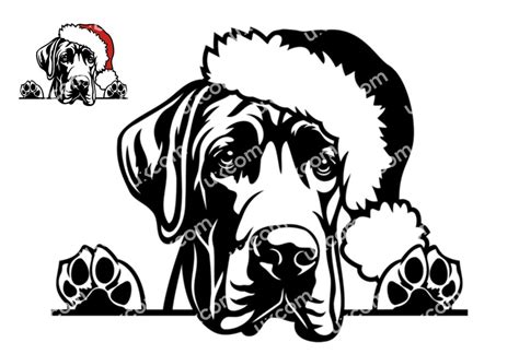 Great Dane Peeking Dog Great Dane Santa Hat Christmas Great Dane Svg