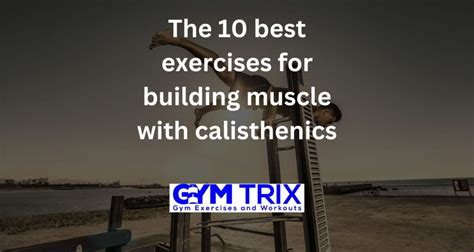 The Best Exercises For Building Muscle With Calisthenics Gym Trix