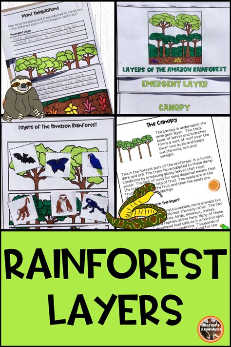 Amazon Rainforest Layers Ks2 Teaching Resources Amazon Rainforest Jungle Theme Activities