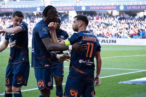 Aca Mhsc La Composition Probable Esprit Paillade