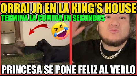 ORRAI JR LLEGA A LA KING S HOUSEPRINCESA SE PONSE FELIZ AHORA QUE