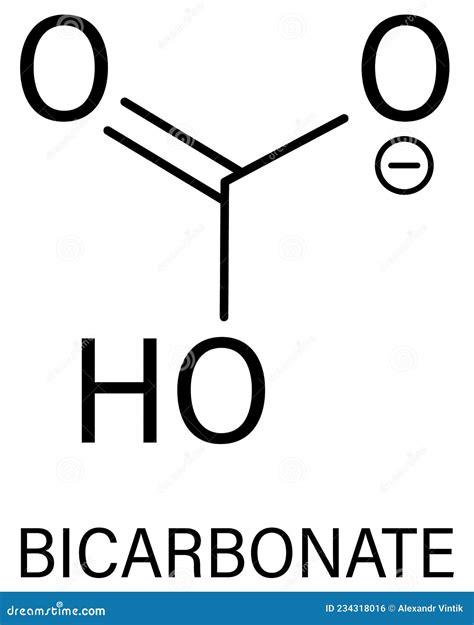 Bicarbonate Anion Molecule Skeletal Formula Chemical Structure Stock