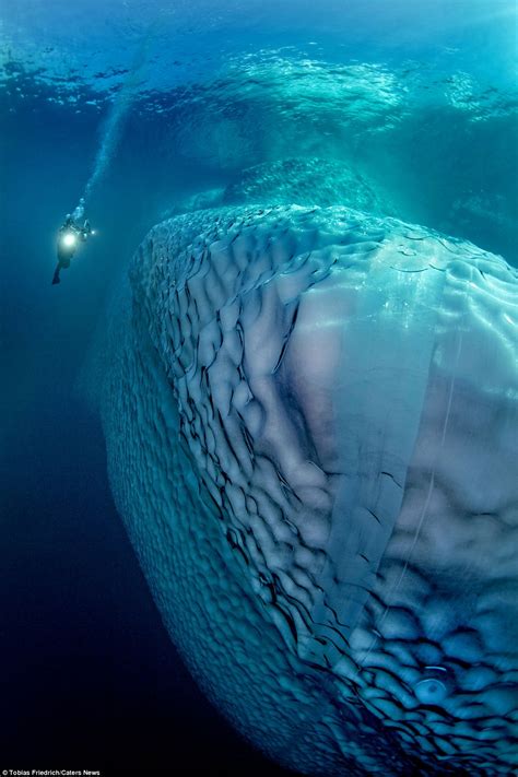 写真家が30メートルの深海で氷山を撮影 壮観！中国網日本語