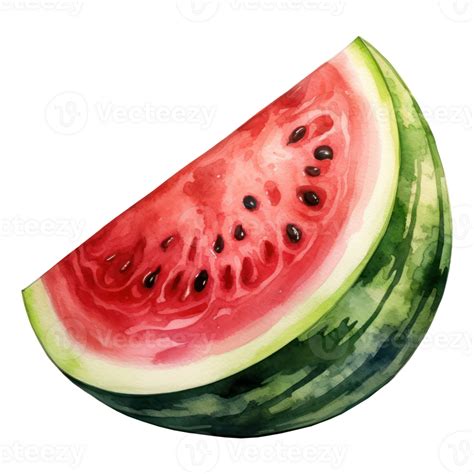 Cute Watermelon Watercolor 26793232 Png