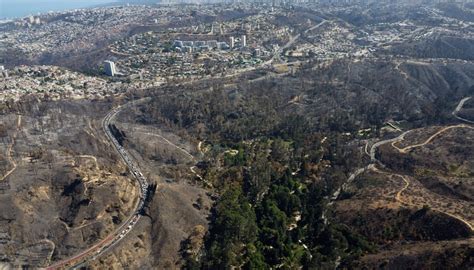 Fallece Funcionario Del Jardín Botánico De Viña Del Mar Que Resultó Con