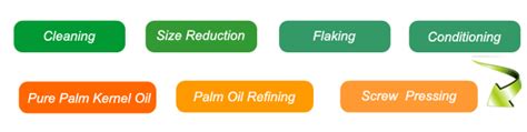 Want to Star t Your Own Palm Kernel Oil Production Business？