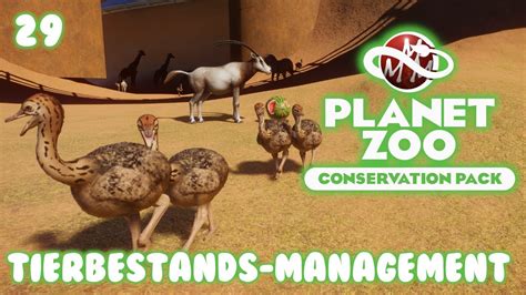 Planet Zoo • Conservation Pack • 29 Tierbestands Management Youtube