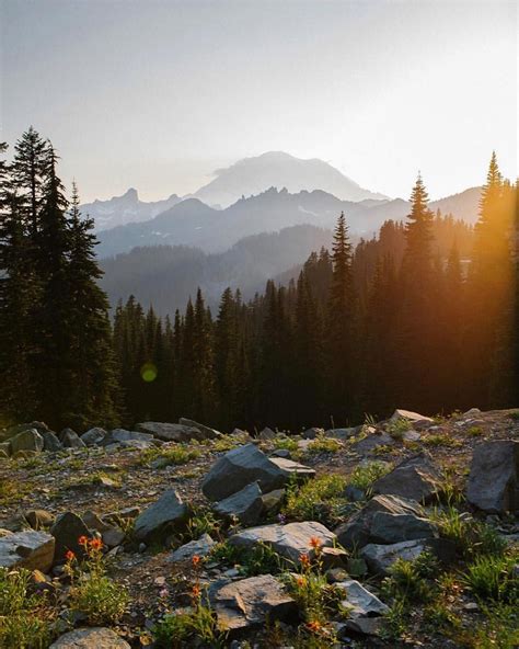 Mount Rainier Washington Dc Washington Nature Adventure Aesthetic