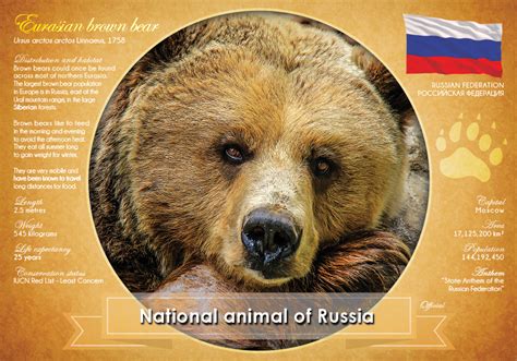 National Animal of Russia