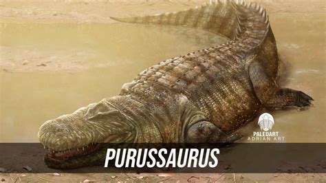 Purussaurus