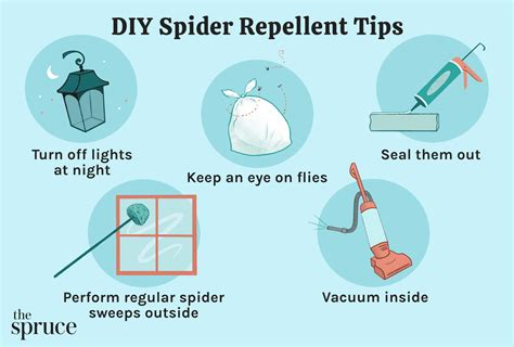 5 Diy Spider Repellents To Keep Spiders At Bay