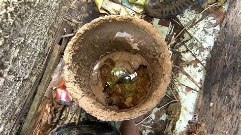 Em Belo Horizonte Casos De Dengue Crescem Mais 40 Em Uma Semana MG1