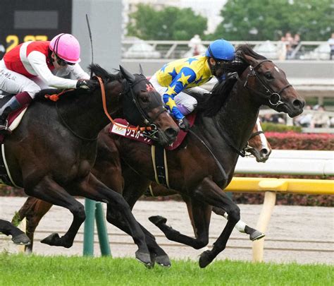 【青葉賞】武豊シュガークン重賞初制覇！キタサンブラック半弟が3連勝でダービー切符 馬名意味は― スポニチ Sponichi Annex ギャンブル