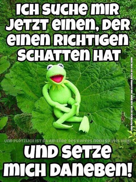 Kermit der frosch sprüche