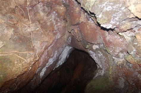 GC19566 Rangitoto Lava Caves (Auckland) (Earthcache) in North Island ...