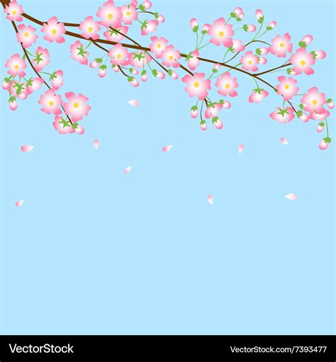 Background with cherry blossom branch Royalty Free Vector