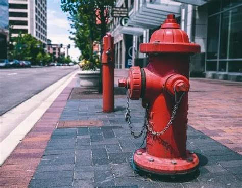 How Much Is A Fire Hydrant Ticket In NYC Find Out The Cost Now