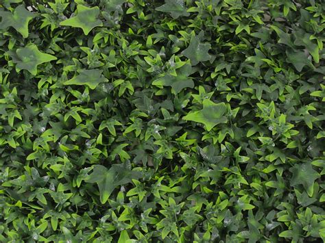 Artificial Ivy Living Wall Green Wall Blooming Artificial