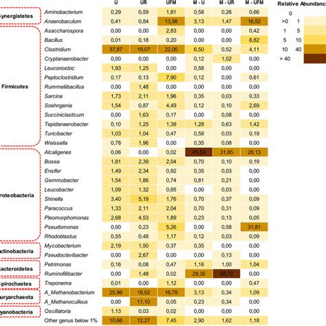 Heat Map Showing The Relative Abundances Of Each Genus 1 In U Ur